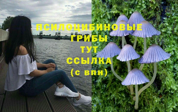 круглые Аркадак