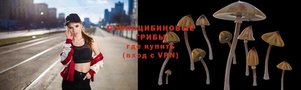 бошки Арсеньев