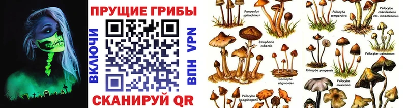 Галлюциногенные грибы MAGIC MUSHROOMS  Кубинка 